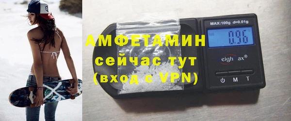молекула духа Козельск