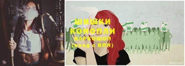 2c-b Костерёво