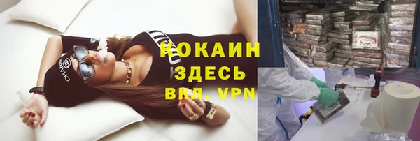 мдпв Коряжма