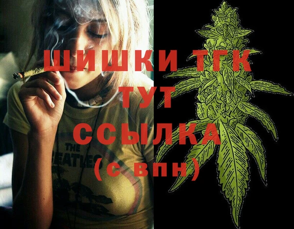 мдпв Коряжма