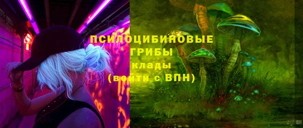 мдпв Коряжма