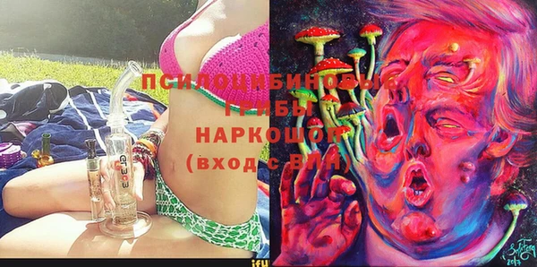 2c-b Костерёво