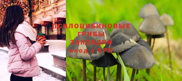 2c-b Костерёво