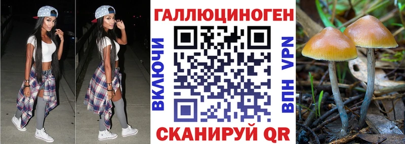 Галлюциногенные грибы мицелий  Якутск 