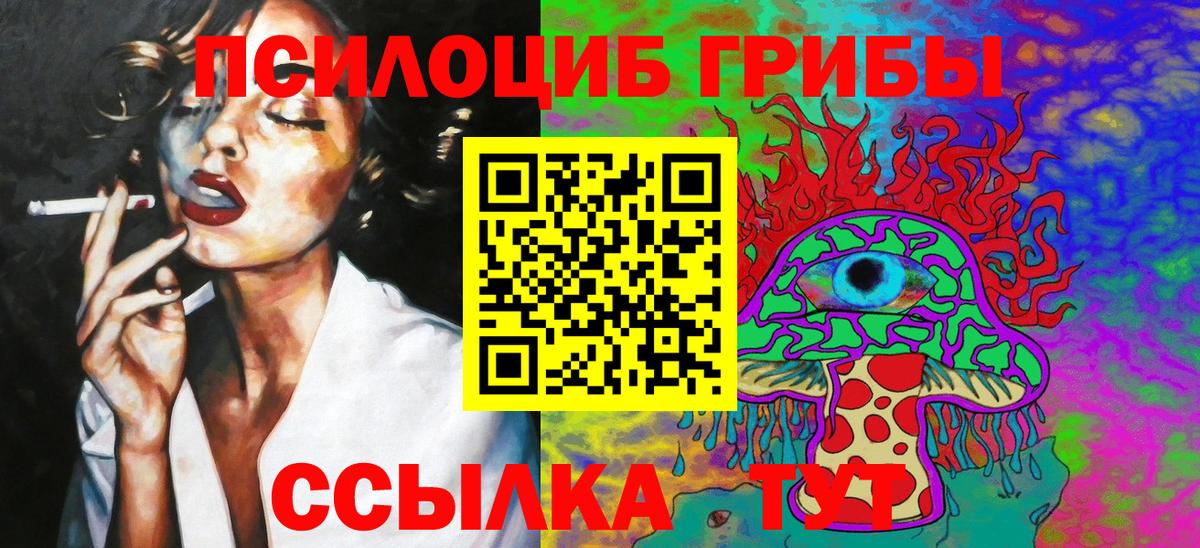 Псилоцибиновые грибы Psilocybe Якутск